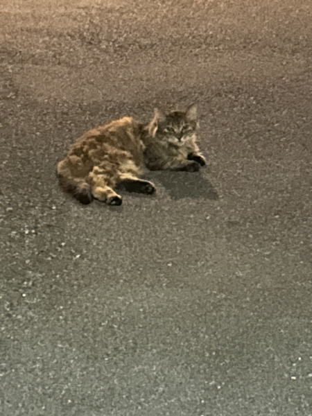 れい