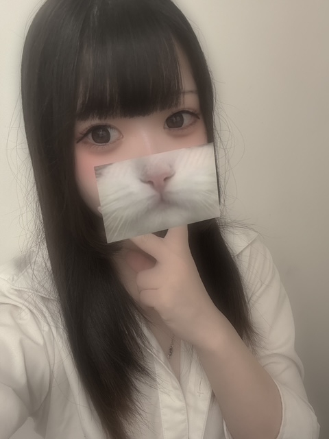 のどか
