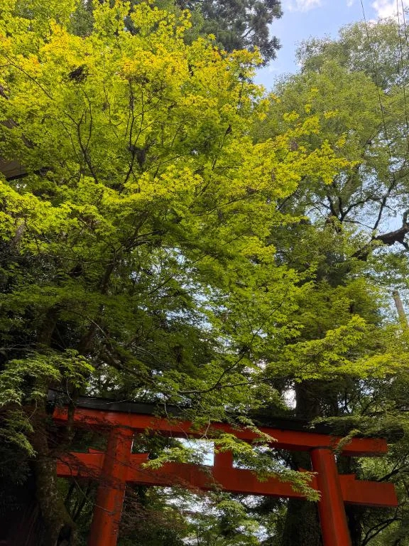 あんず