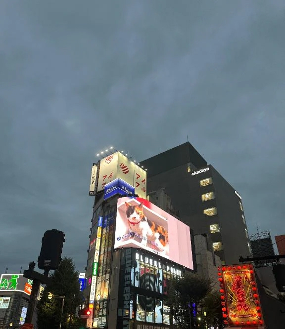 みんと