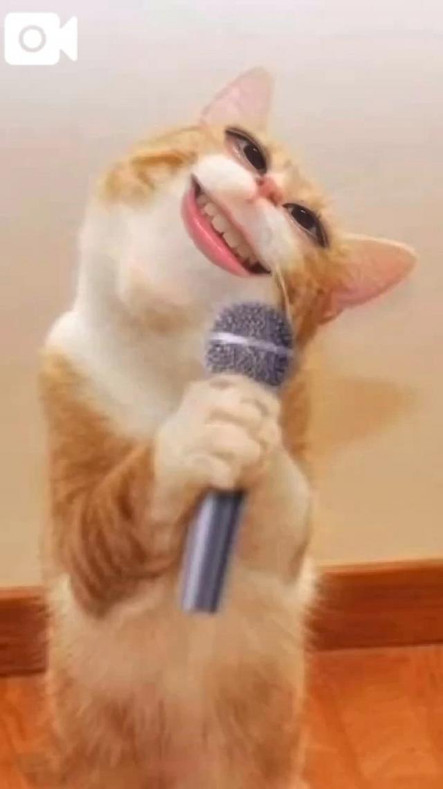 うたな