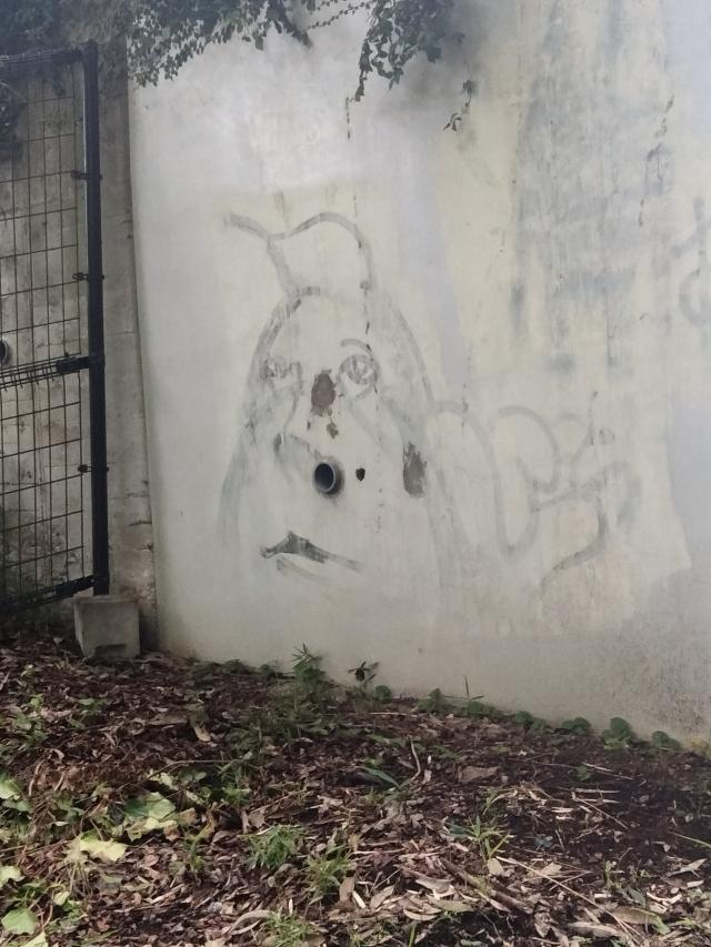 まな