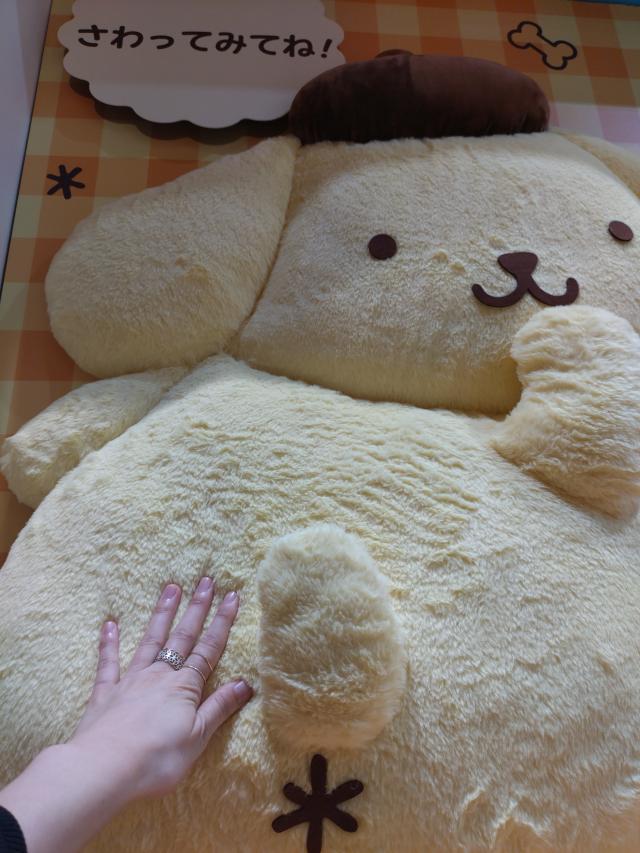 リム