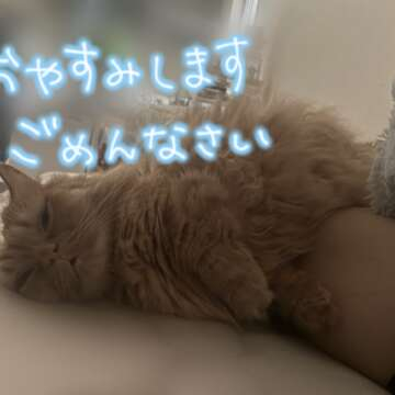 さくら