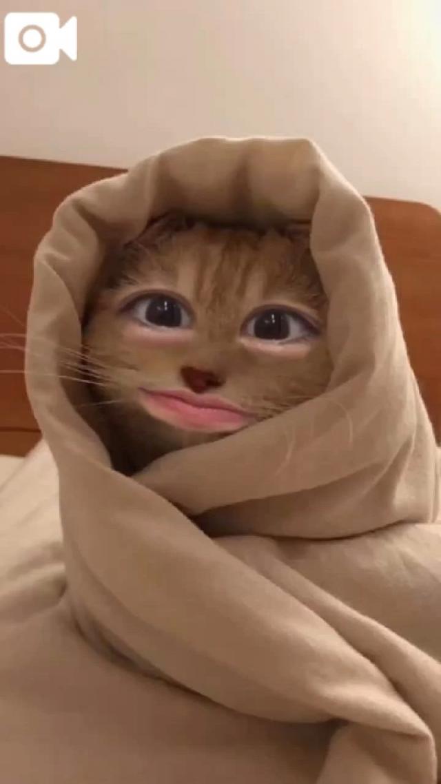 うたな