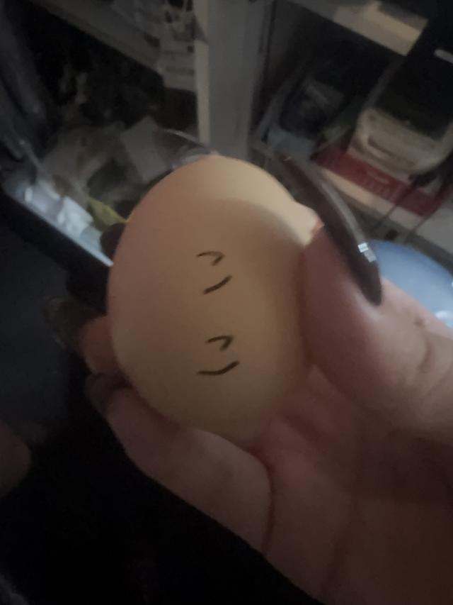 ここ