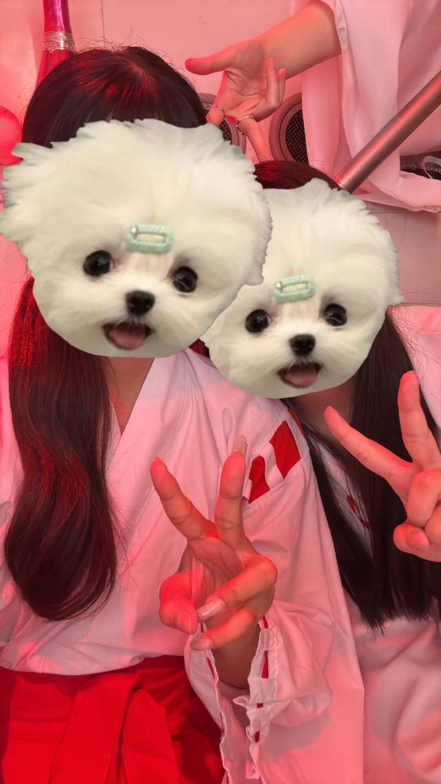まゆ