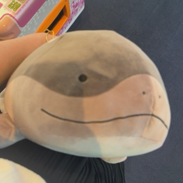 こゆき