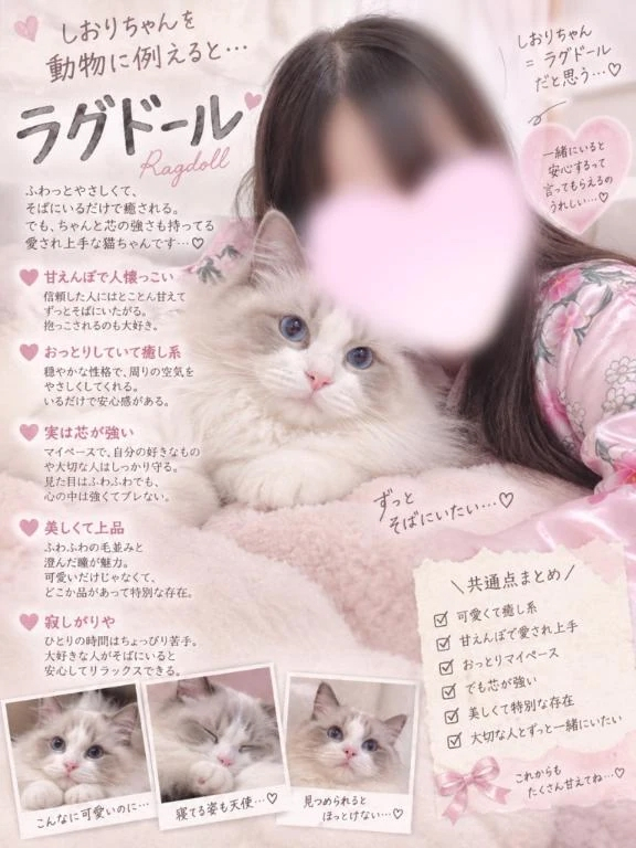 しおり