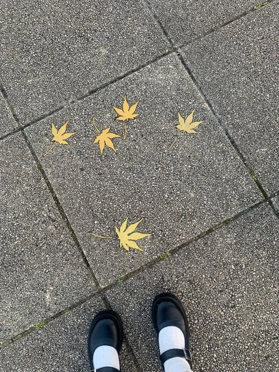 すい
