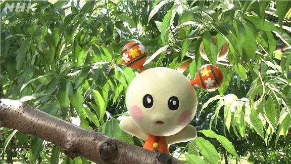 りん