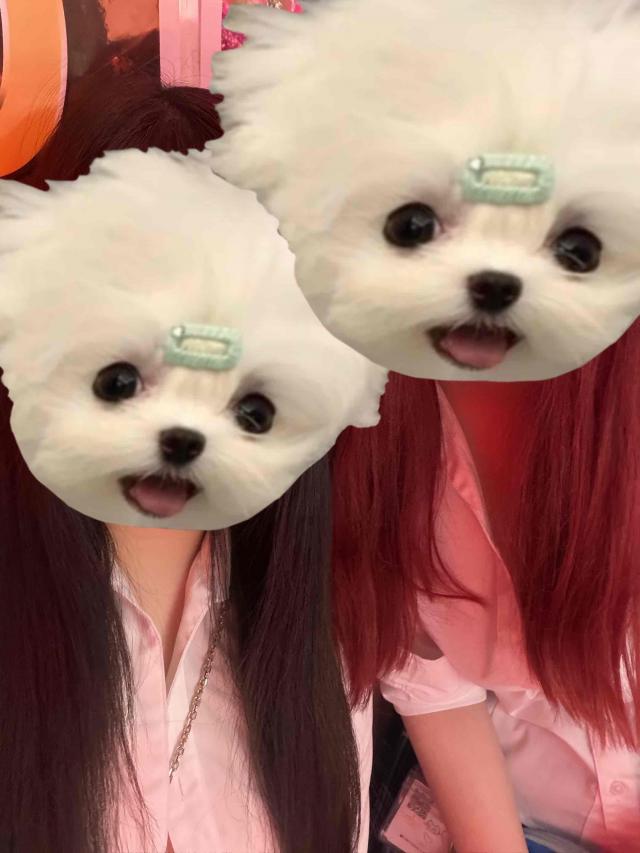 のの