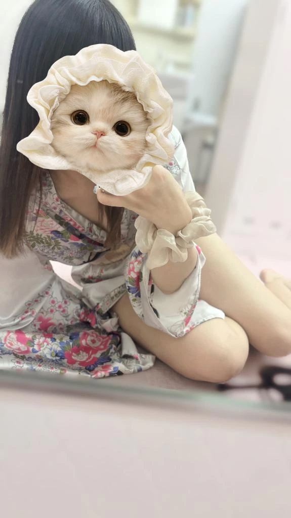 まどか