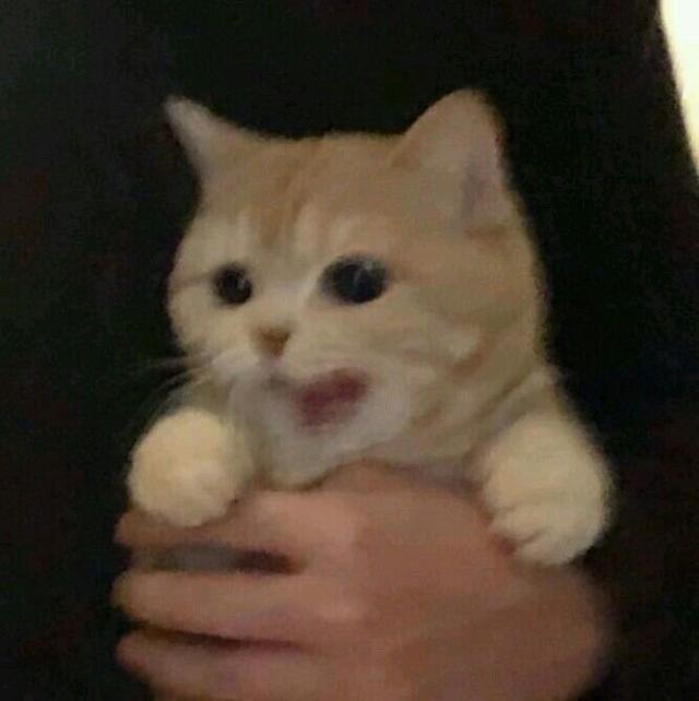 なのは
