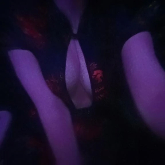 えま
