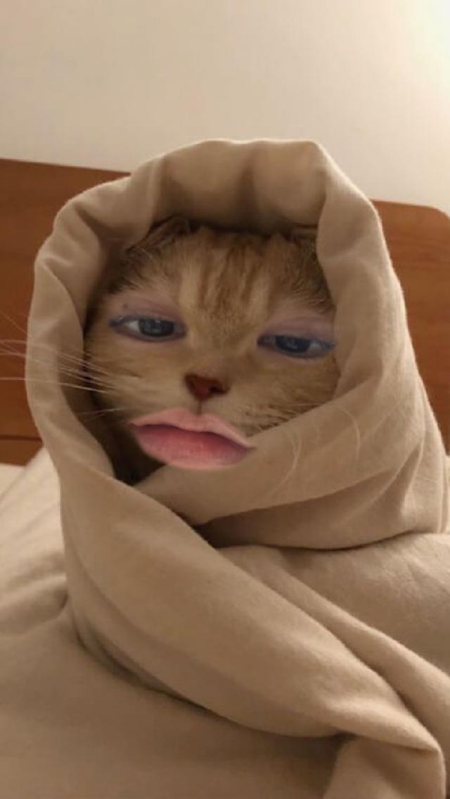すずな