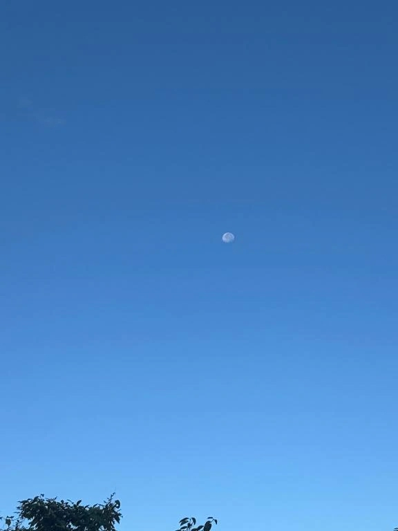 こう