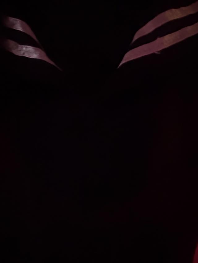 ここ