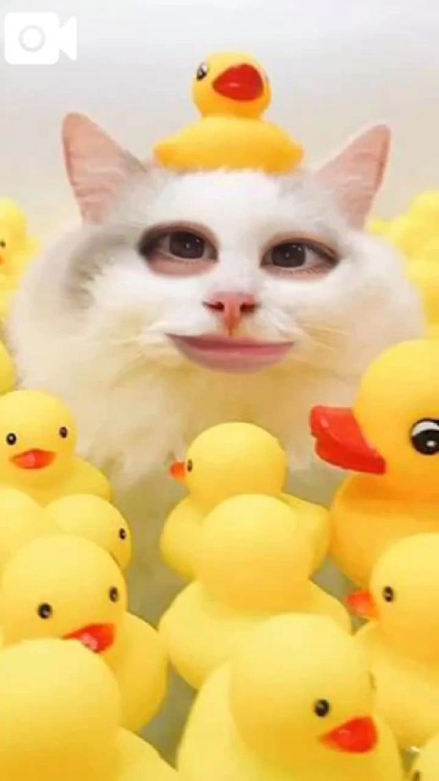 うたな