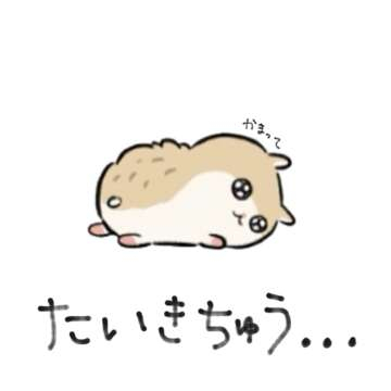 エマニエル秋葉原スタッフ