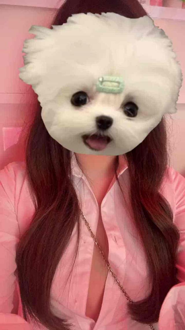 のの