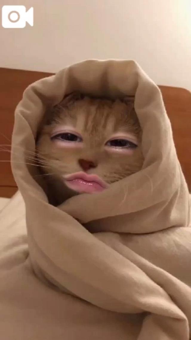 うたな