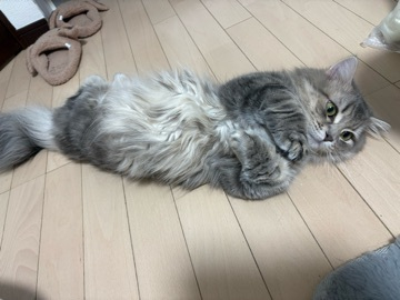 りりちよ