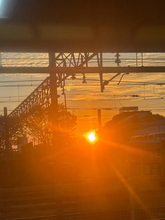 おとめ