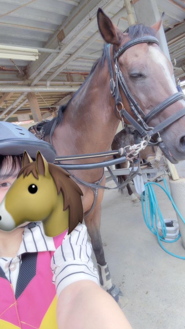 かえで