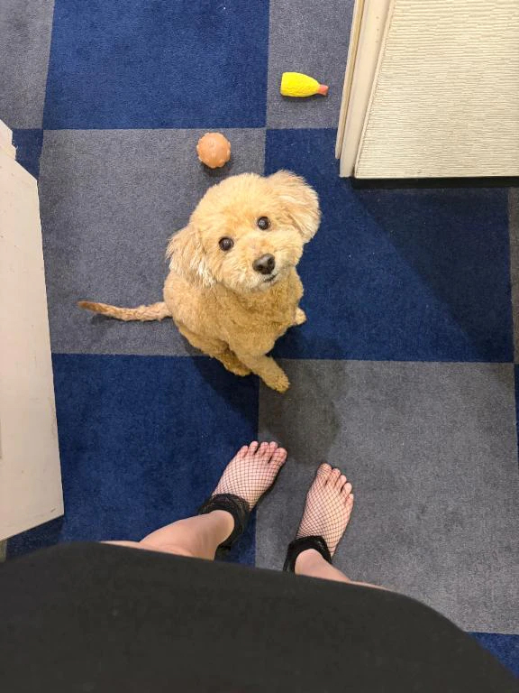 きさら