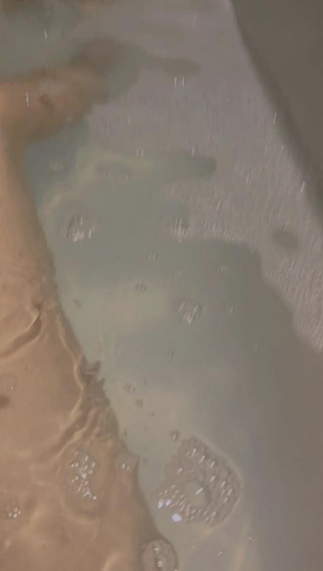 こころ