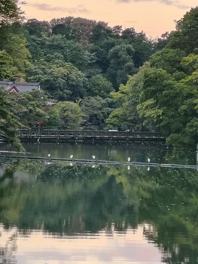 まな