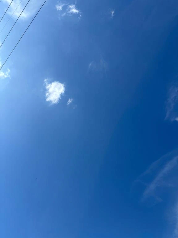 おとめ