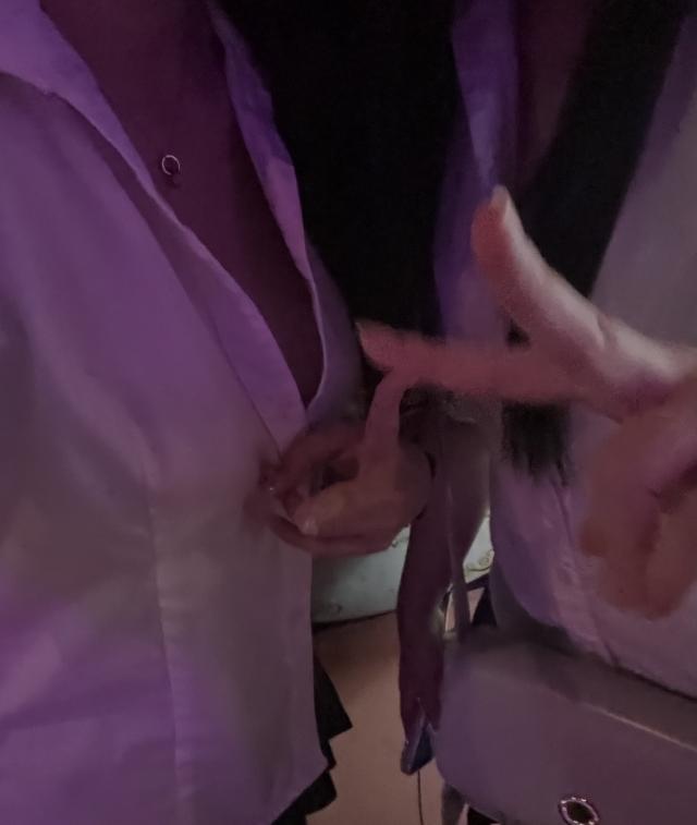 あおい