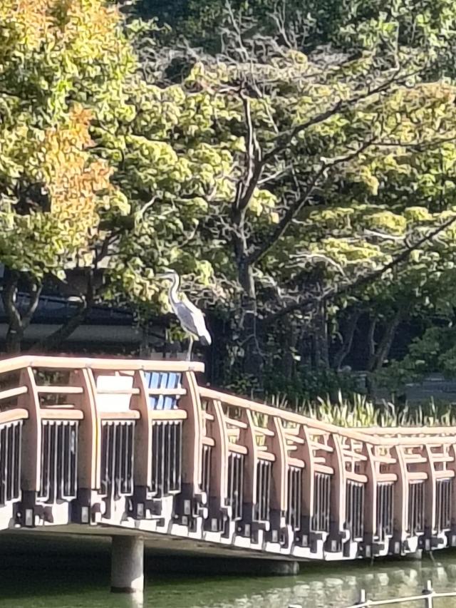 まな