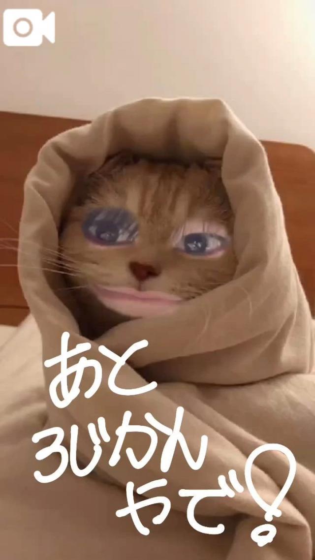 おとめ