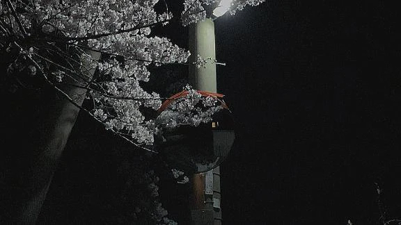 ふうりん
