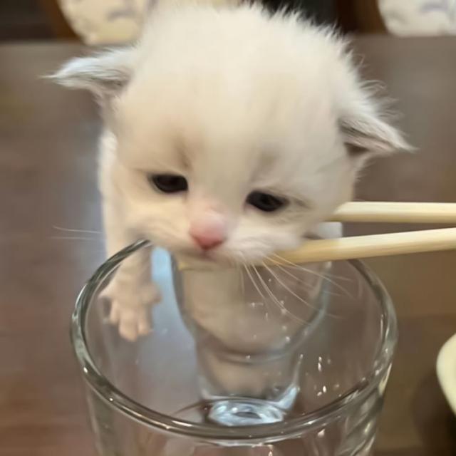 なのは