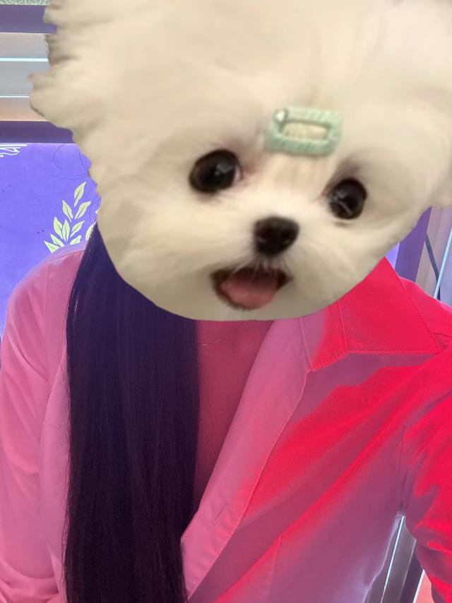 まゆ