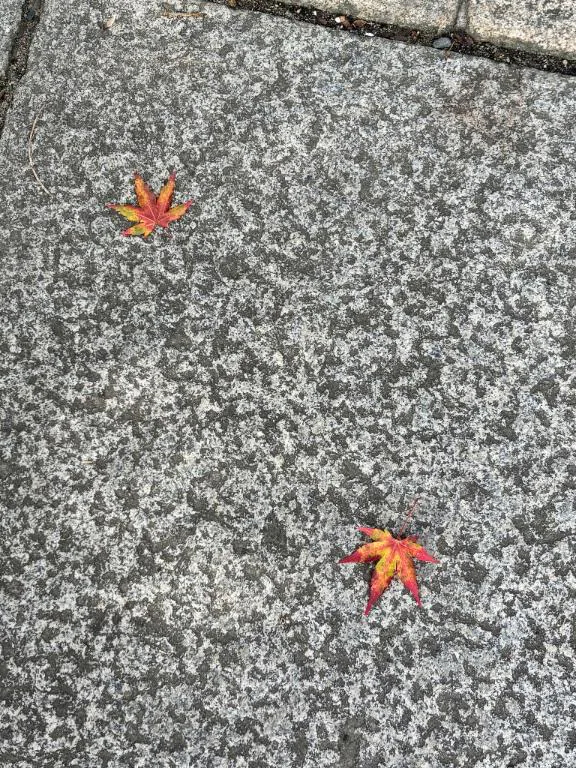 こう