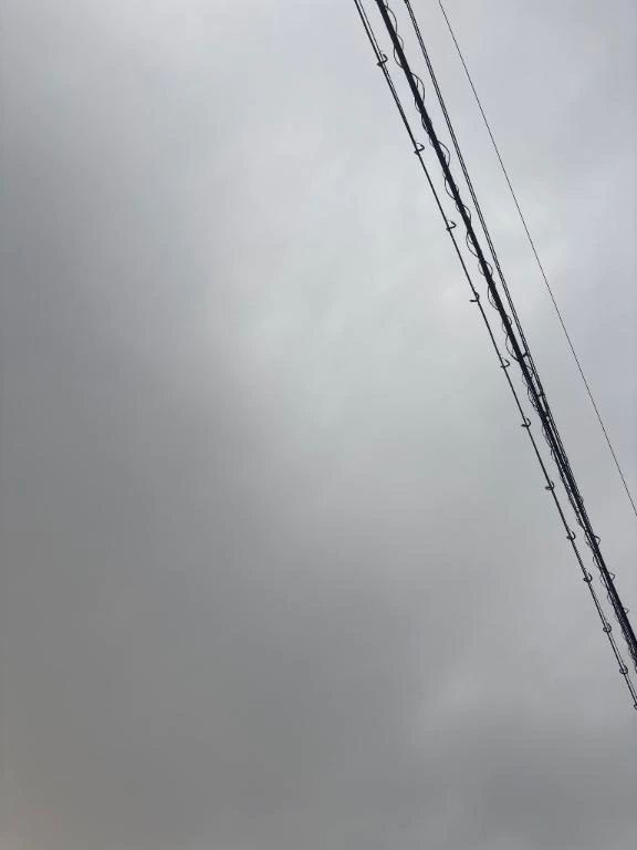 おとめ