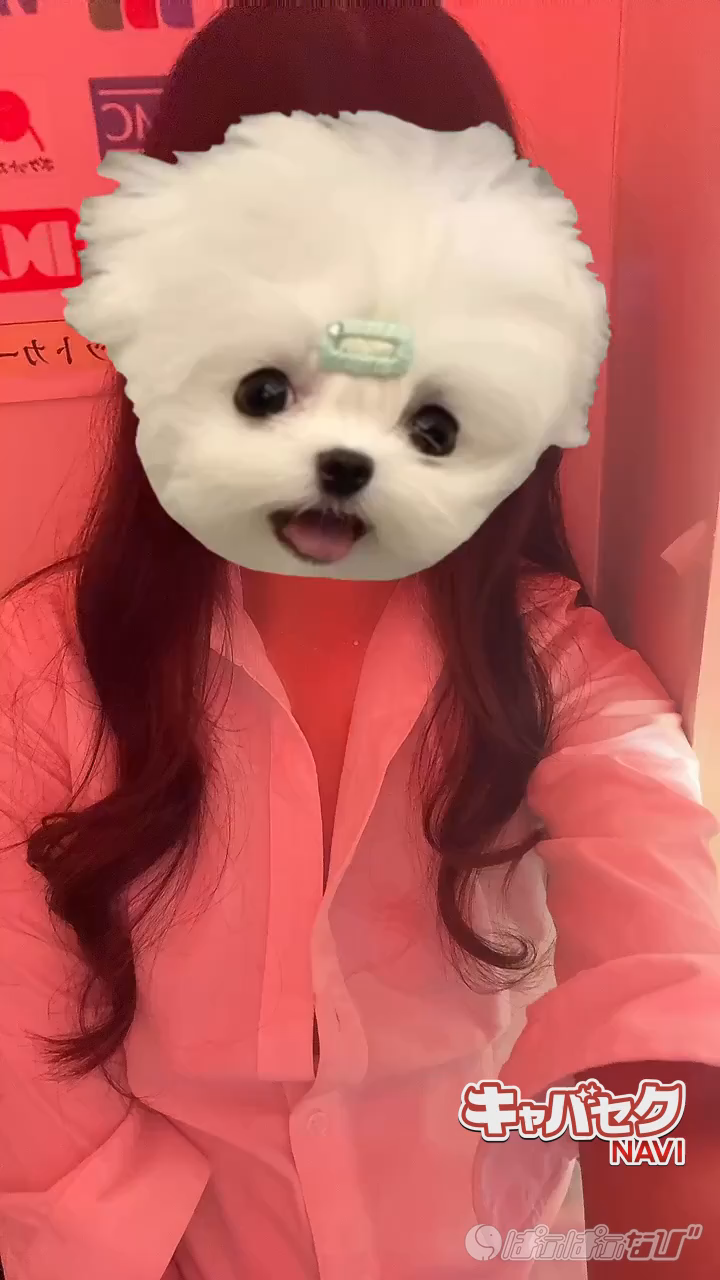 CAST MOVIE