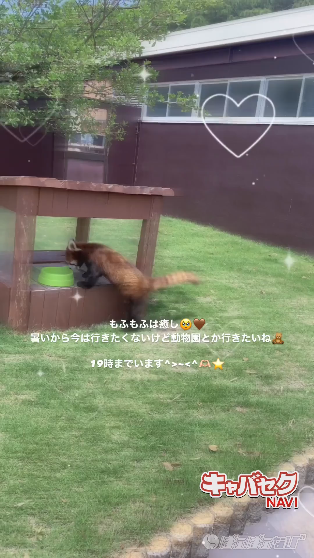 CAST MOVIE