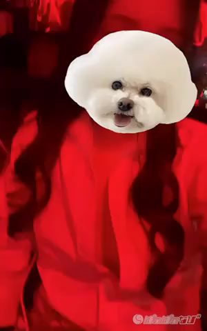 CAST MOVIE