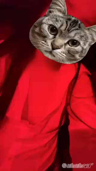 CAST MOVIE