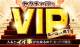 セクキャバのVIPルームって何？入るとイイ事が出来るの？【おっパブ解説】