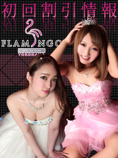 横浜FLAMINGO（フラミンゴ）