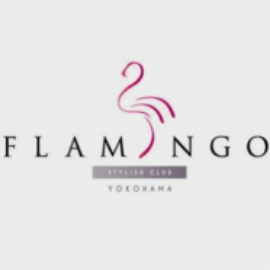 フォトギャラリー