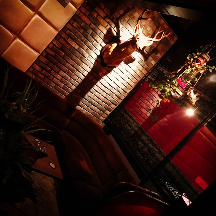 フォトギャラリー