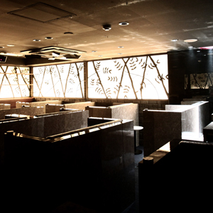 フォトギャラリー